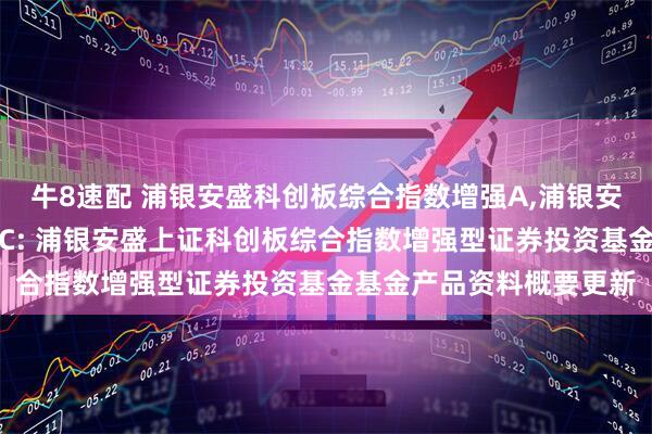 牛8速配 浦银安盛科创板综合指数增强A,浦银安盛科创板综合指数增强C: 浦银安盛上证科创板综合指数增强型证券投资基金基金产品资料概要更新